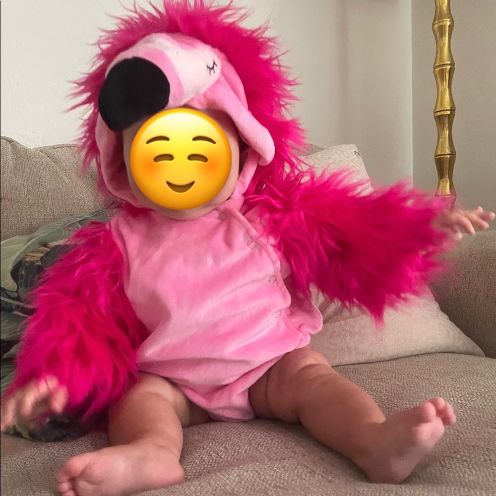 Pottery Barn Kids Baby Flamingo Costume (6-12 months)